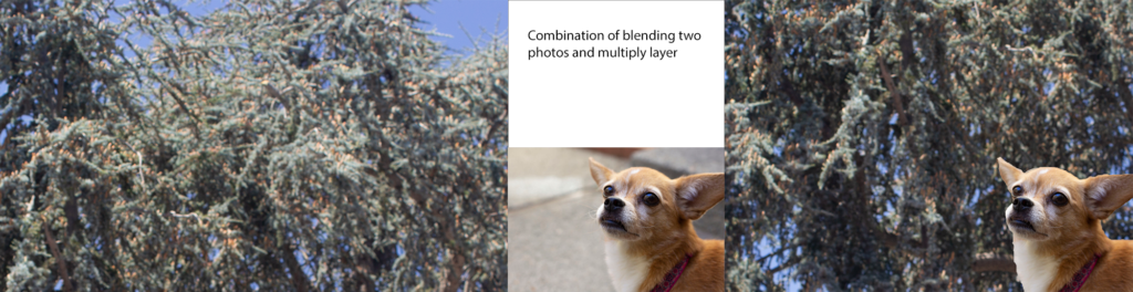Blending two photos with multiply mode