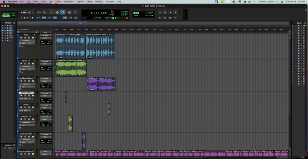 Screenshot of Pro Tools to see how I edited the audio of my free verse poem