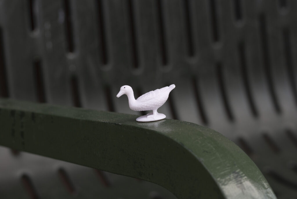 white duck on a green bench