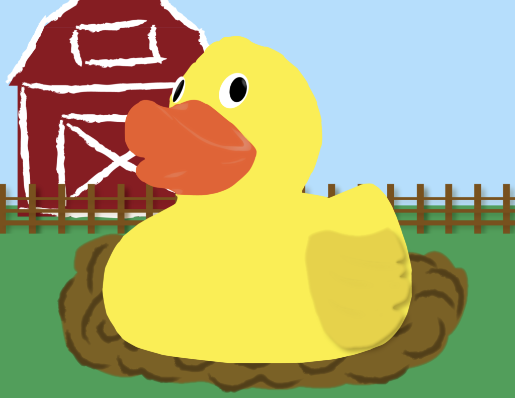 Duck with a barn in the background