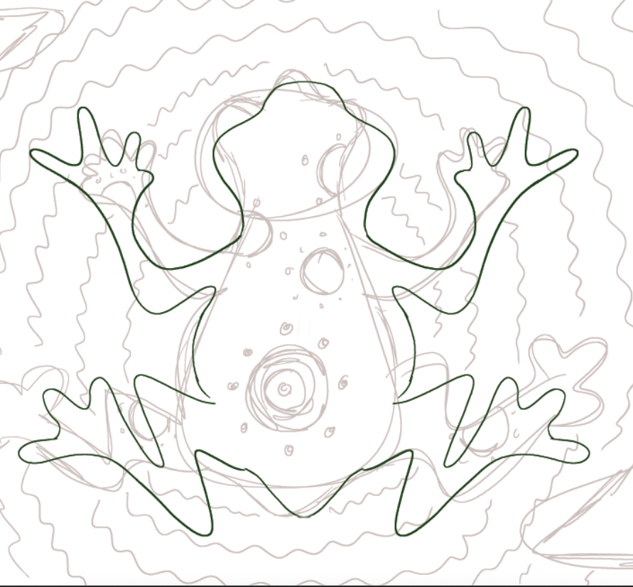 first outline of frog