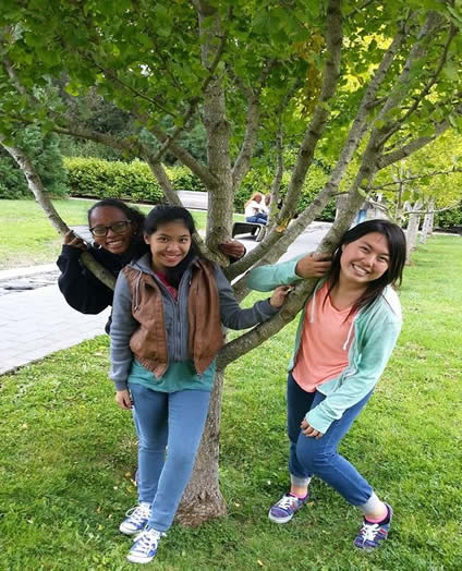 My Friends and I at the De Young tree :)
