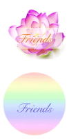 friend button
