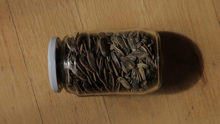A photo of a jar of sunflower seeds, representing Katherine’s habit of eating sunflower seeds with the shell.