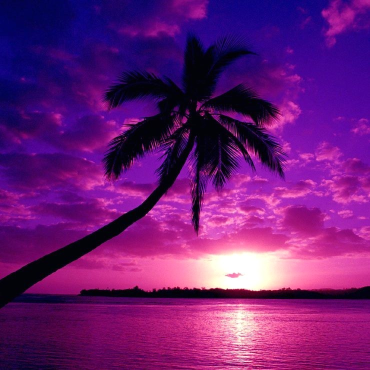 purple beach photo