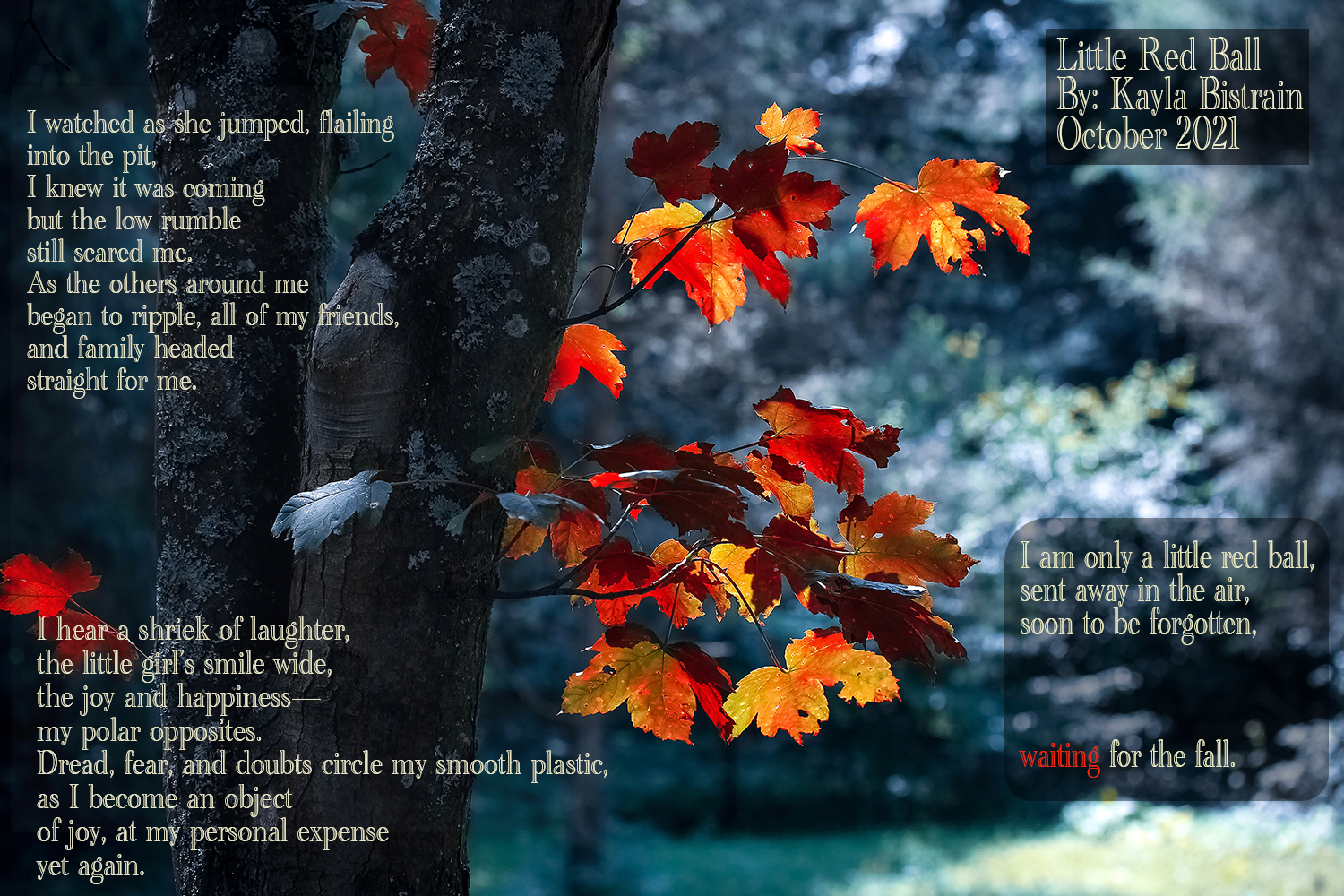 Poem by Kayla Bistrain Little Red Ball