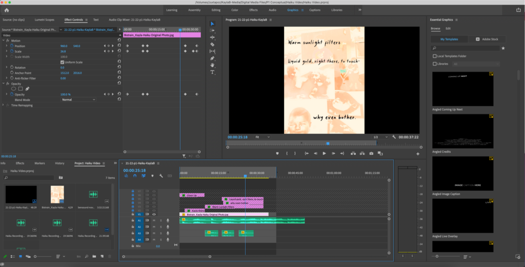 Image of Premier Pro showing the process behind the video.