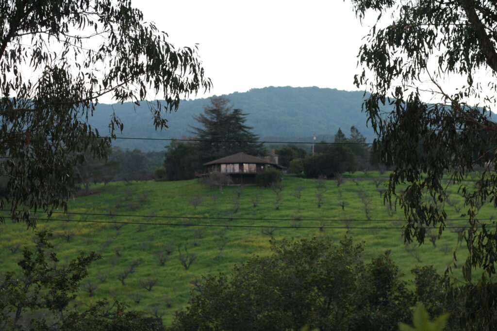 Image of a house on a hill.