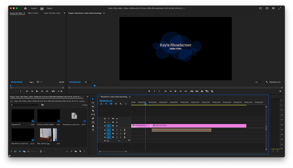 This image shows the process of editing in Premier Pro that we went through to edit this project. 