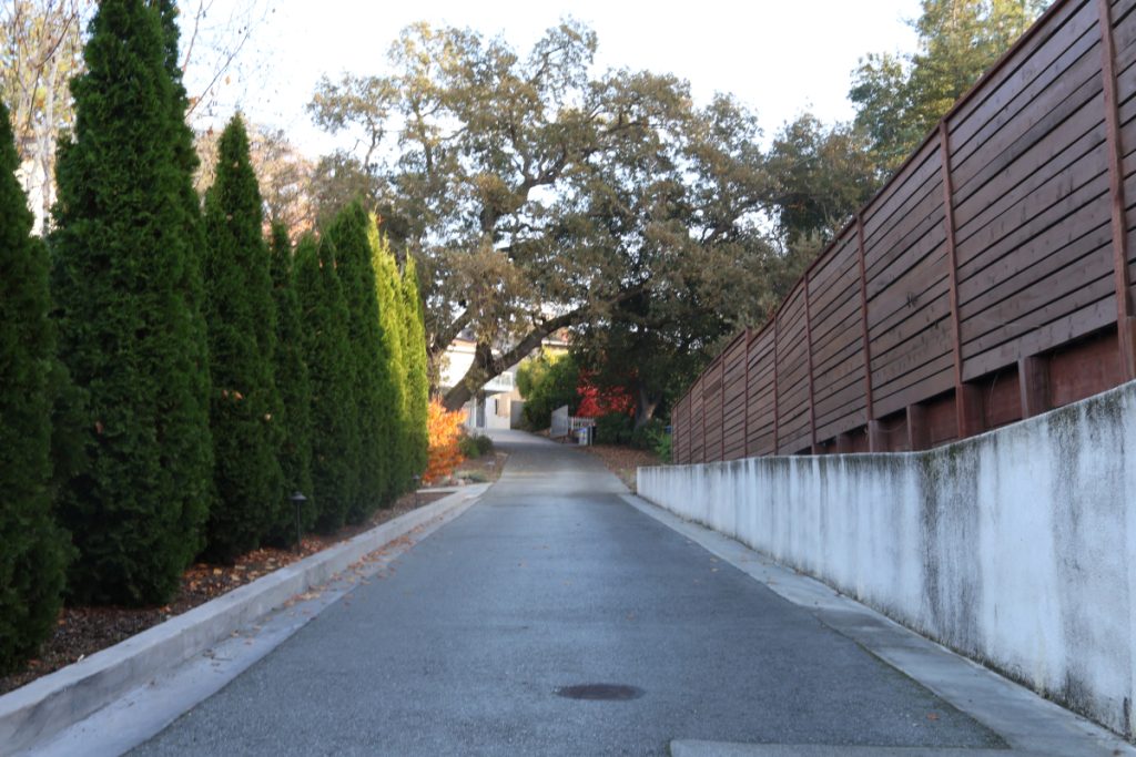Using the rule of thirds; far left third is taken up by trees. Middle third taken by asphalt driveway. Far right third is taken by fencing. 