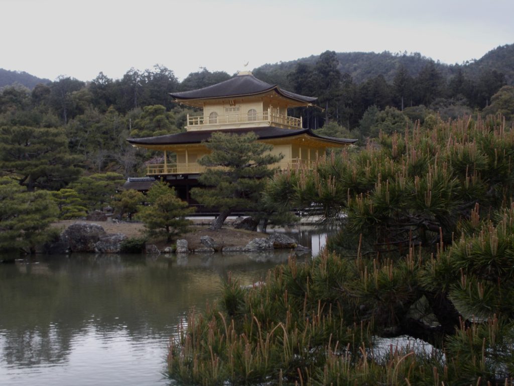 A photograph of Kinkaku-ji (the Golden Pavilion) in Kyoto, Japan, taken across a calm pond. The golden three-story temple is partially framed by Japanese pine trees in the foreground, with dense forested hills behind it under a pale, overcast sky. Rocks line the near shore of the pond.