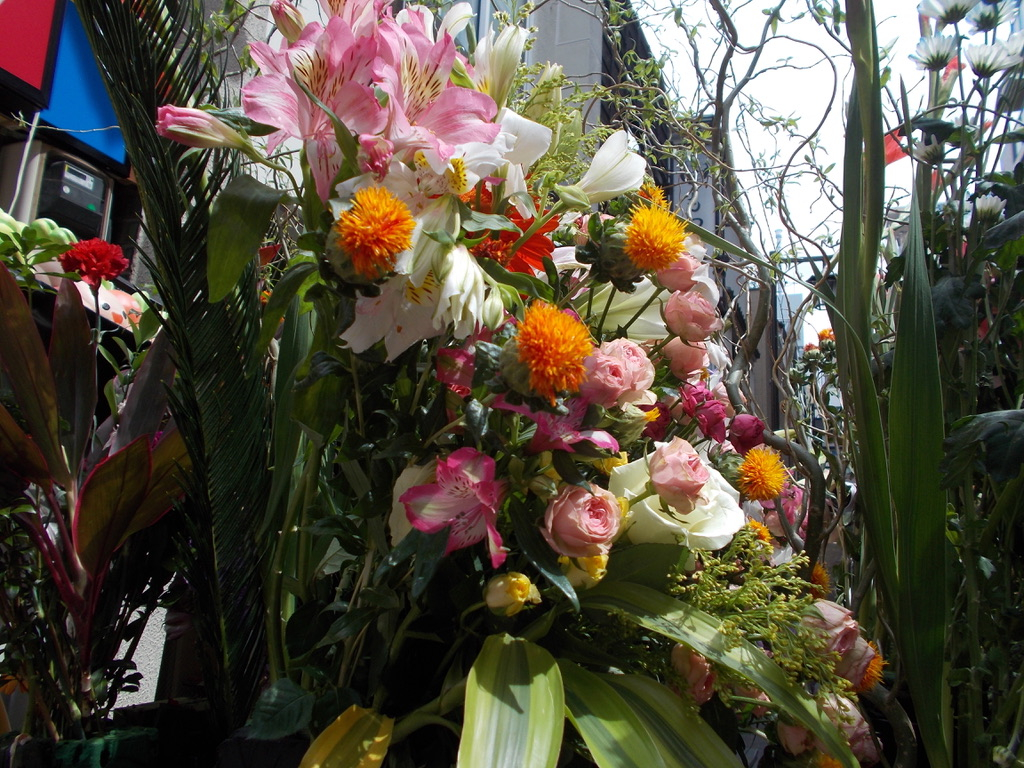 A close-up photo of a large, densely packed floral arrangement outside a flower shop. The bouquet contains a mix of pink and white alstroemeria lilies, orange safflower pompoms, pink garden roses, white roses, red carnations, and various green foliage. The arrangement is shot at a slight upward angle, with bare branches, tall green stalks, and a grey building wall visible in the background. Natural daylight illuminates the flowers from above.