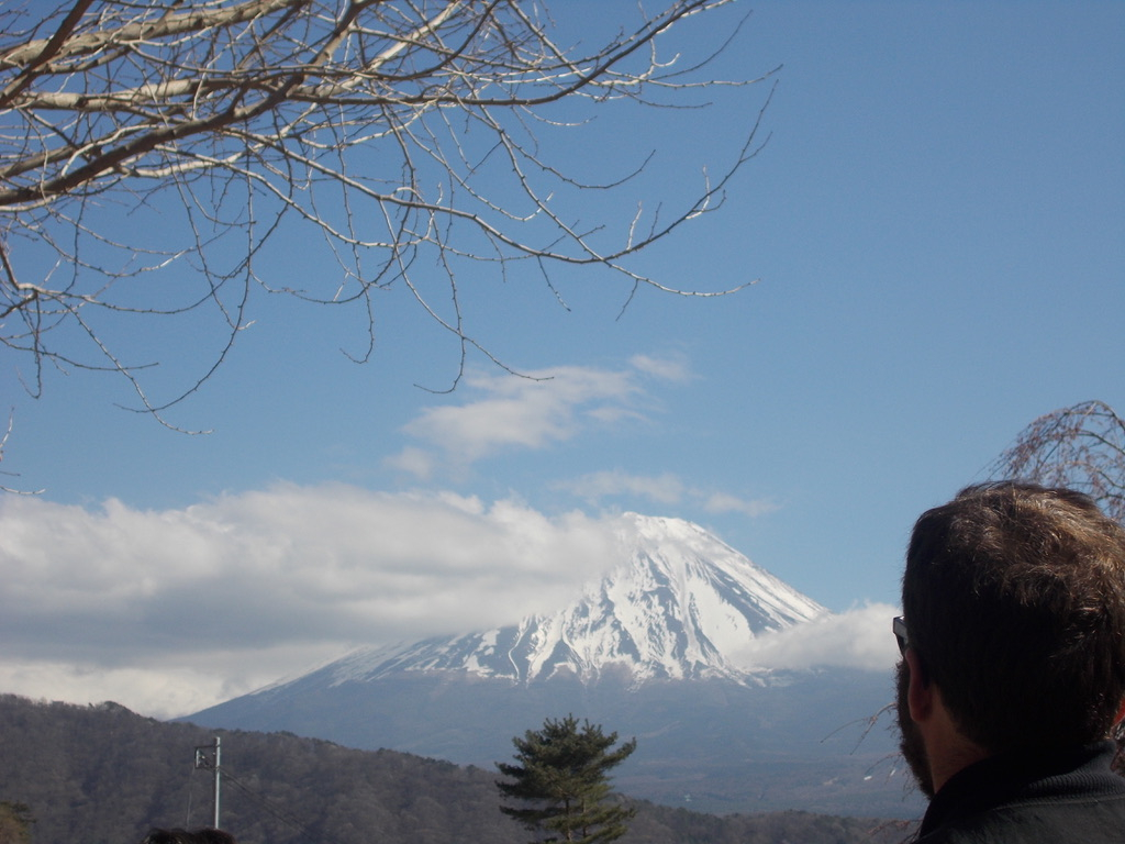 A photo of Mt. Fuji in the center background, its snow-covered peak rising above a band of clouds under a blue sky. In the lower right corner, the back of a person's head is visible — dark hair, glasses — as they look toward the mountain. Bare tree branches extend across the upper left of the frame, and a few evergreen trees are visible at the base of the mountain.