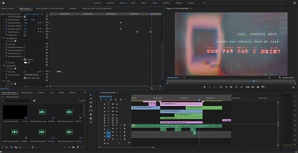 A screenshot of my Premiere Pro video editing software.
