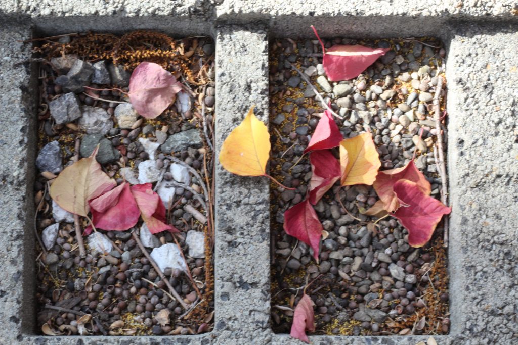 Some colored leaves sit on top of gravel within a cinder block stair. 
