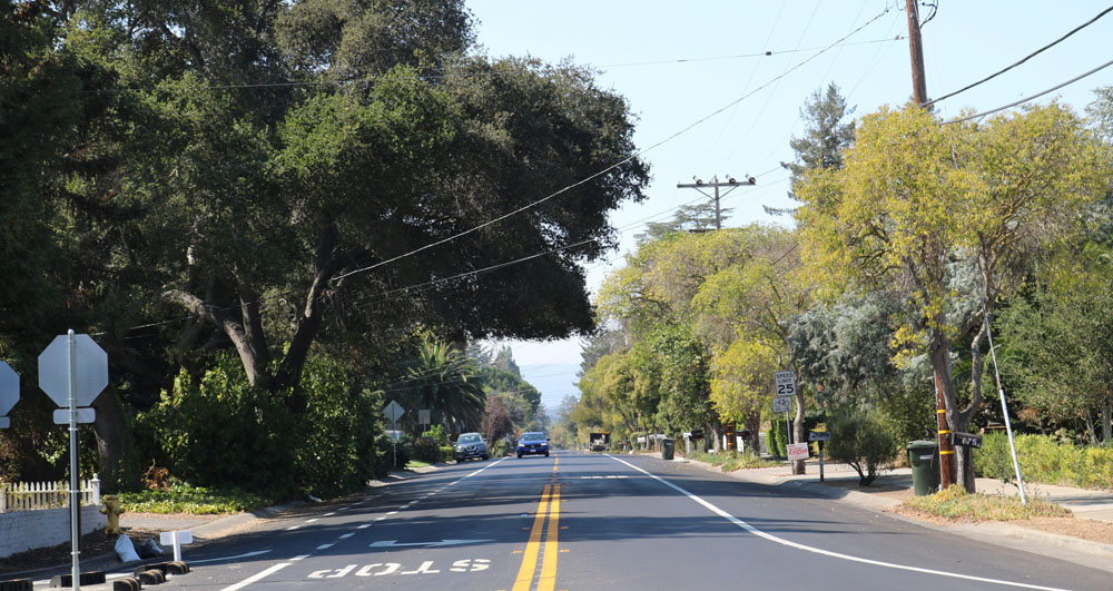 Photograph of a street with trees lining the borders and a car in the distance,