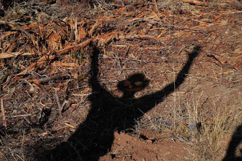 A photograph of a shadow with a face for the photo blog prompt of "Anonymous".