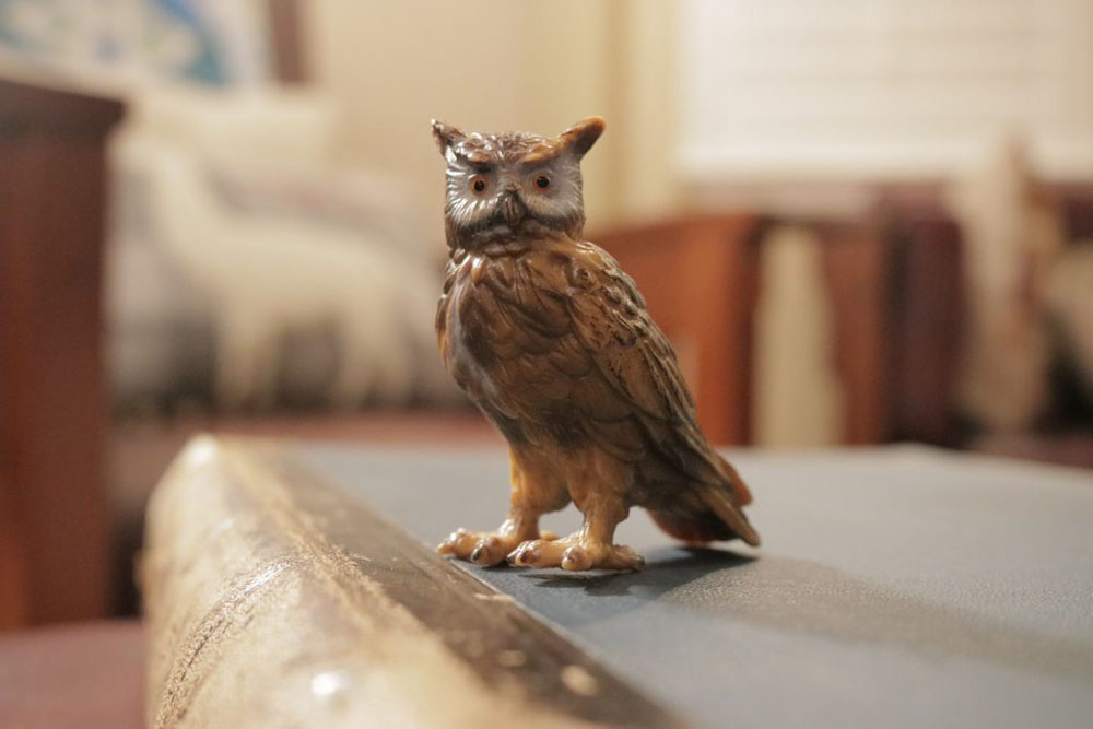 Photograph of a toy owl sitting on a book laid down, no filters applied.