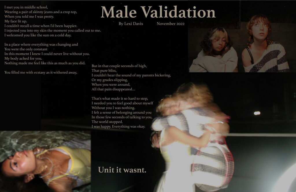 Male Validation by Lexi Davis