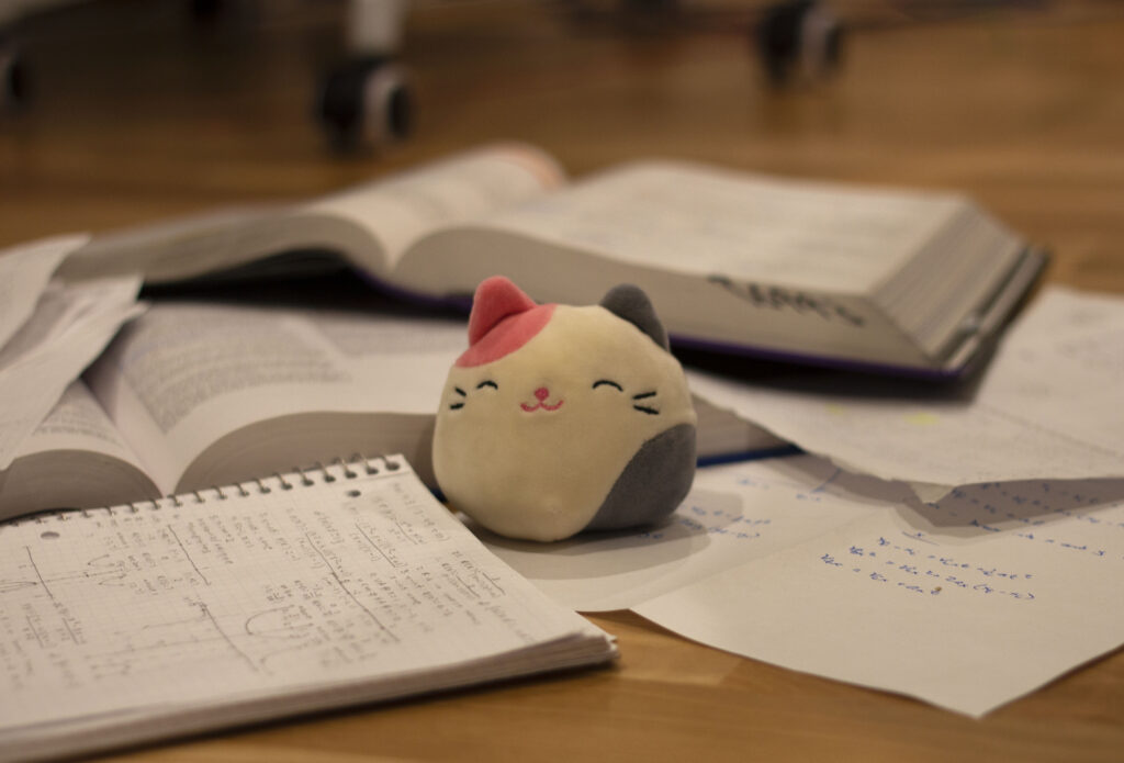 Stuffed animal cat in the middle of homework and textbooks