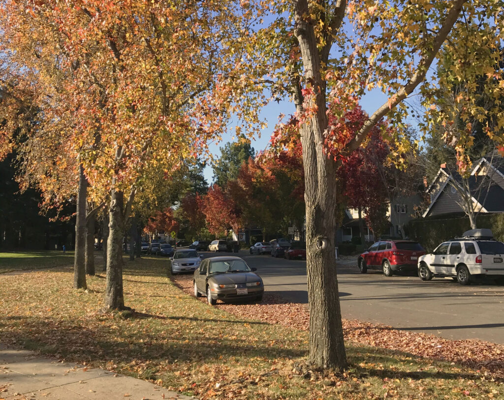 A street on an autumn day