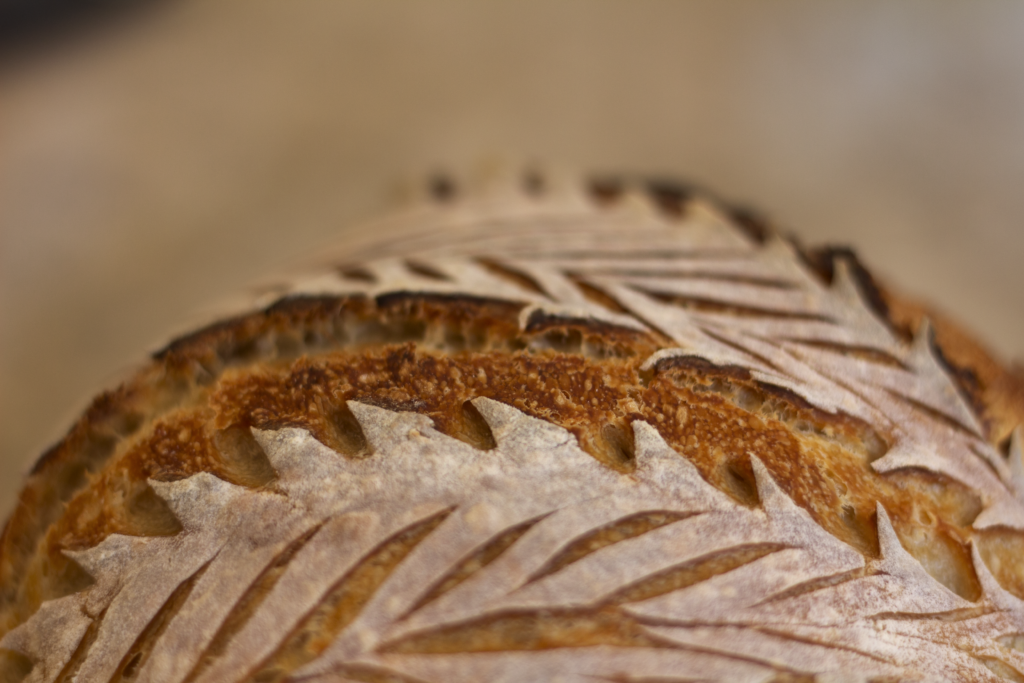 Close-up of sourdough bread