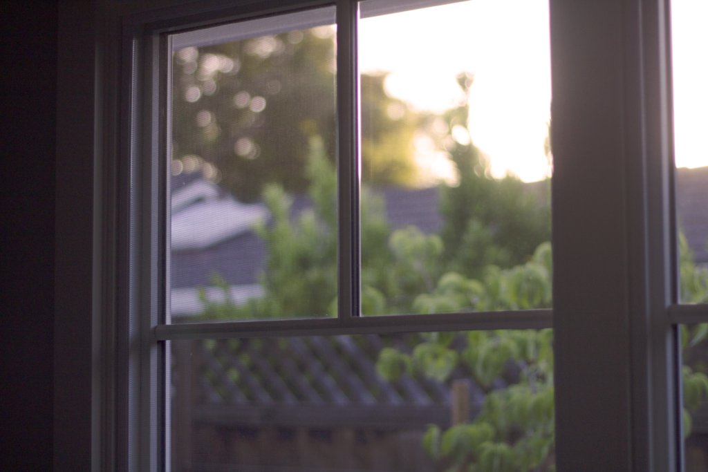 The view of my backyard through a window.