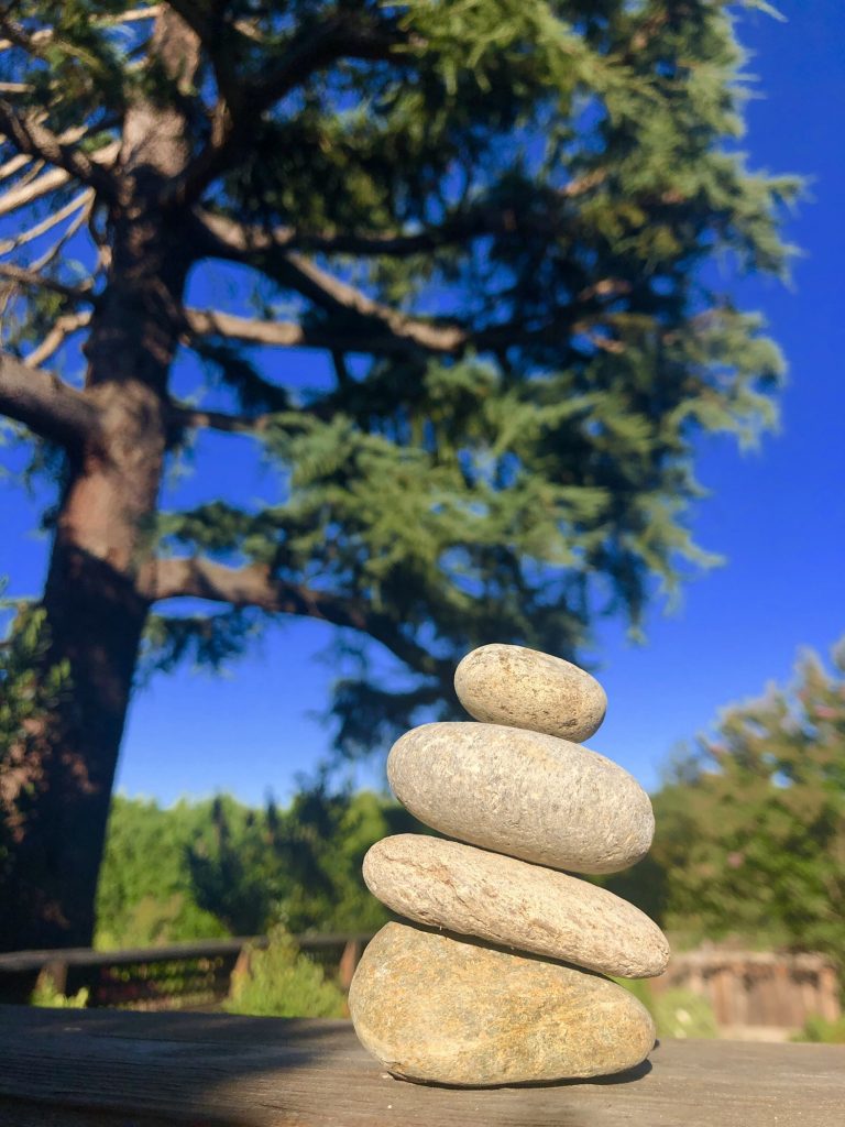 This is my Week 1 Photo Blog. This is a picture of rocks stacked up and a tree in the background.