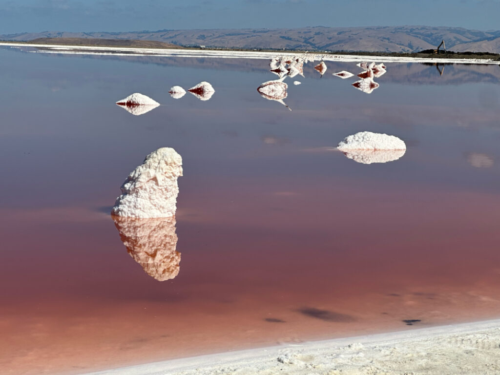 Photo of Shoreline Salt Lakes taken at an angle where the crystallized salt buildup is reflecting in the pink water.