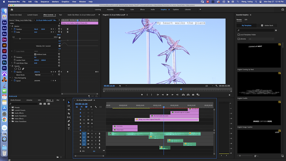 Layers edited in Adobe Premiere Pro!