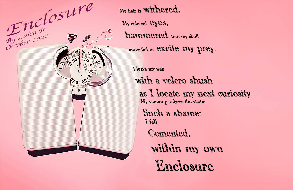 Enclosure Written by Luiza Rufeisen