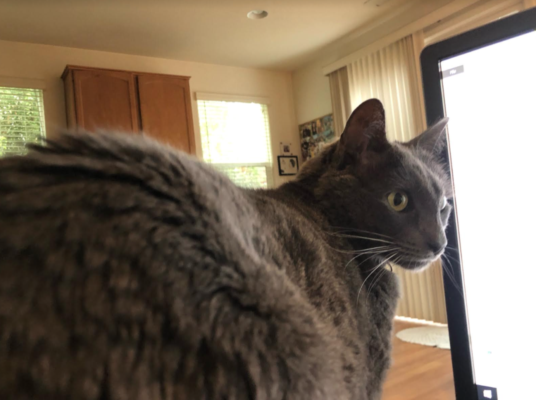 Rule of Thirds – Emotion