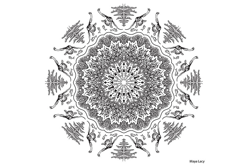Black and White Mandala