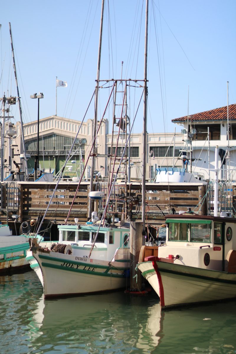 Portrait shot of boats in San Fransisco marine. Mainly shot of 2 white boats with accent color of teal, green, and red.