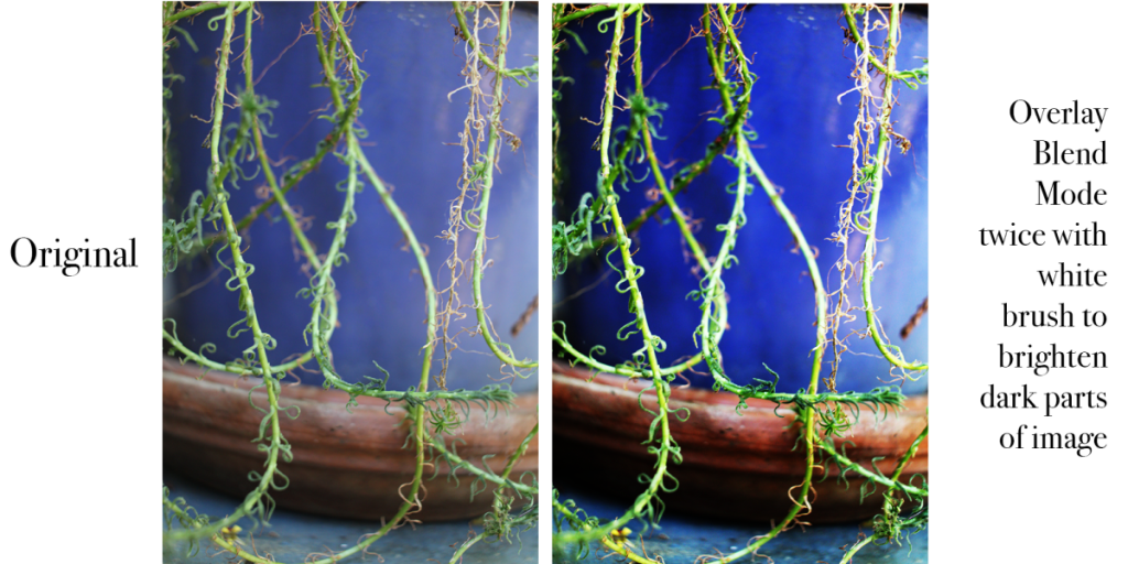 Original photo of blue pot with leaves hanging down. Edited photo with overlay mode to bring out contrast.