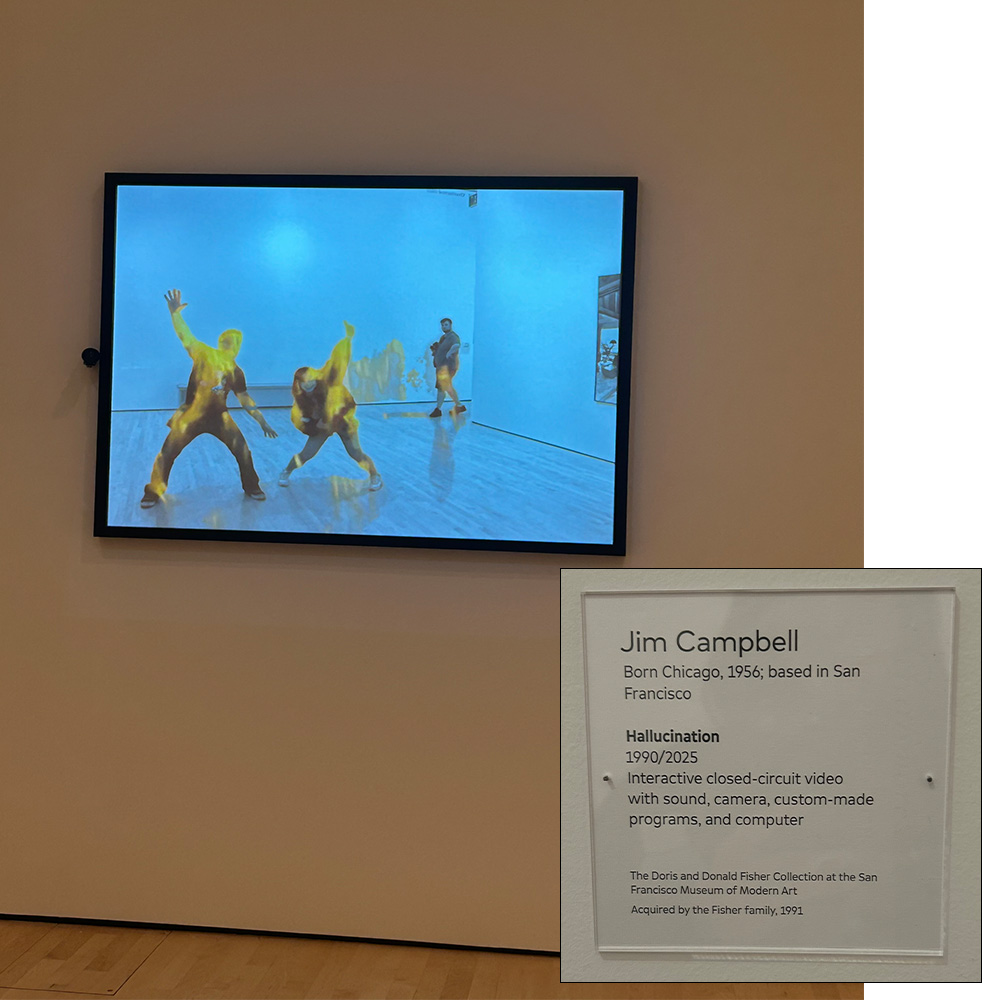 Hallucination by Jim Campbell