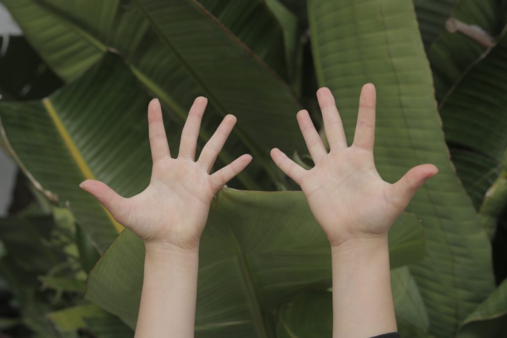 Hands are held up, palms facing to the camera. In the background are large leaves.