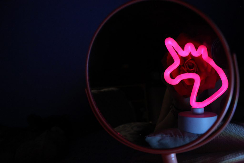 image of a unicorn and rose reflected on a mirror in the dark on the right. 