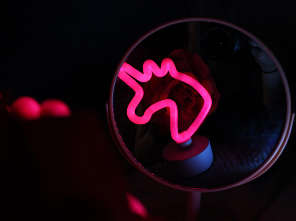 image of a unicorn and rose reflected on a mirror in the dark on the left. 