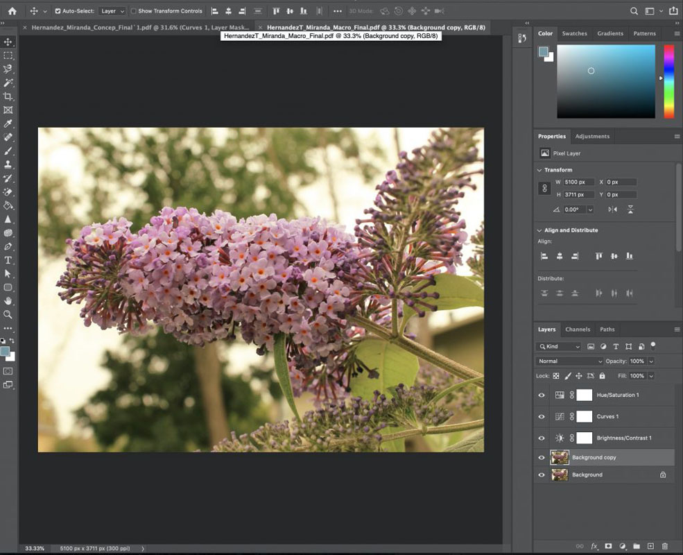 image of work in photoshop