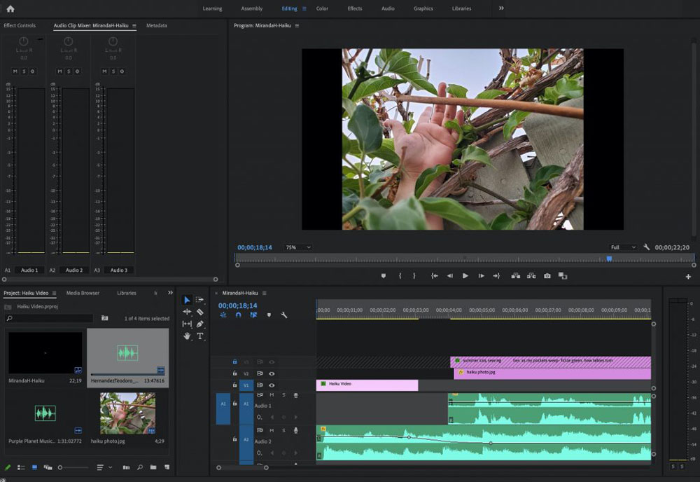 screenshot of work on Premiere Pro