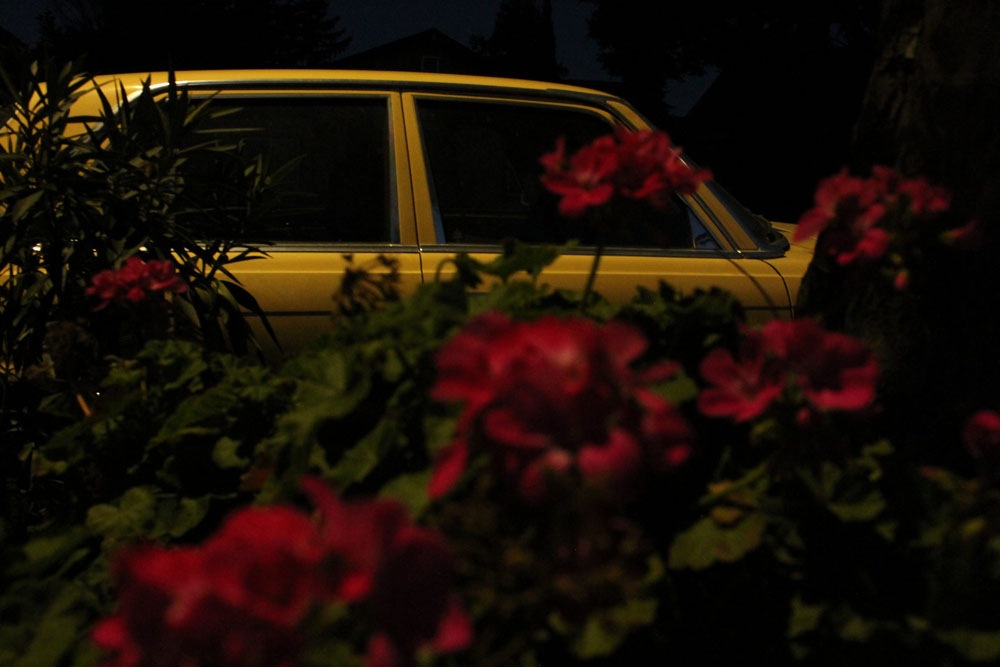 car and flowers framing it