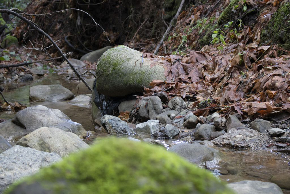A small creek. Lying in the creek, partially submerged, is a sandbag with moss growing on it.