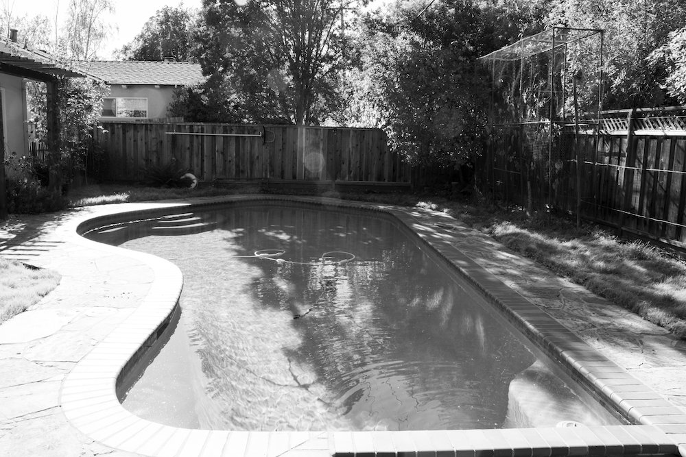An image of a pool in a backyard, surrounded by a stone patio and various plants and trees. The photo is in black and white.