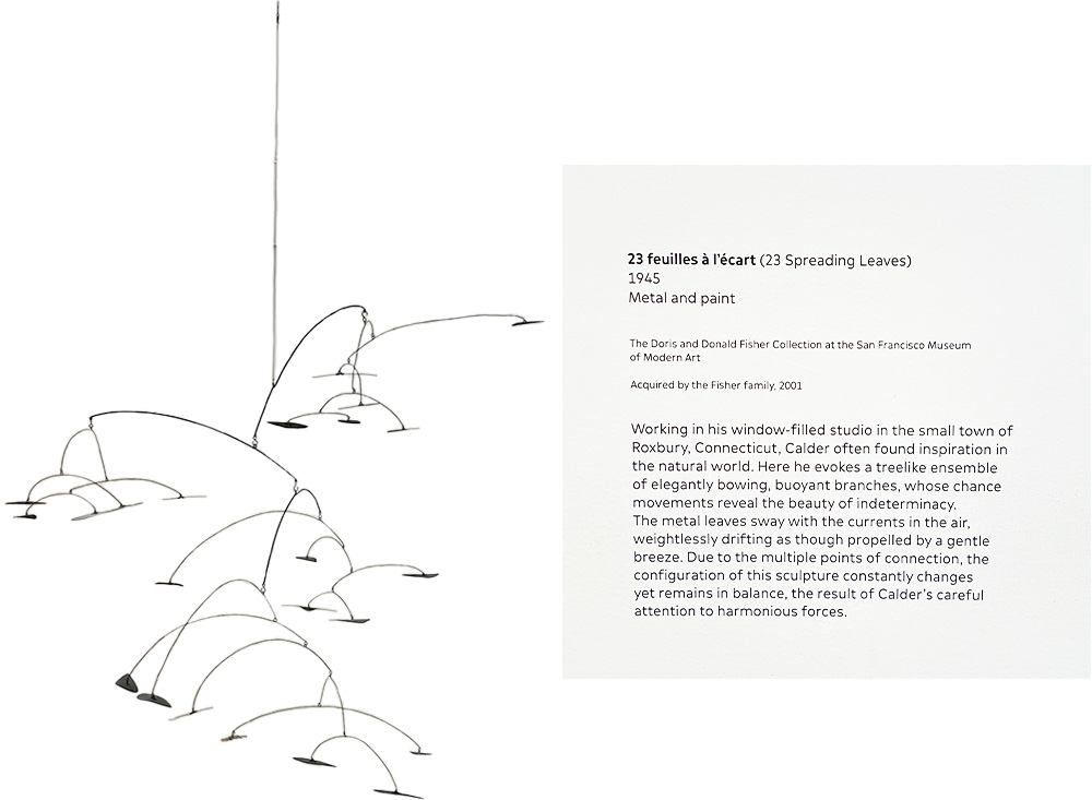 23 feuilles à l’écart by Alexander Calder