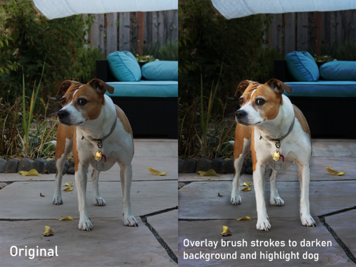 A comparison of two photos of a dog, one of which has overlay strokes.