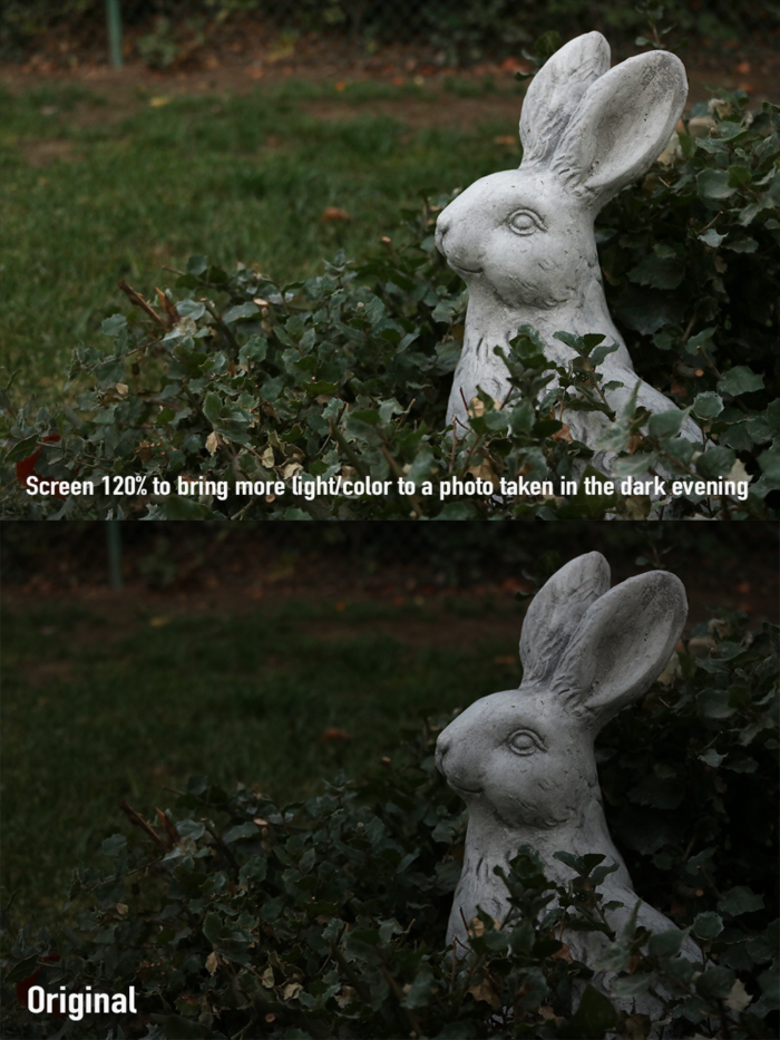 A comparison of two photos of a white bunny, one of which has been lightened.