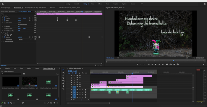 A Premiere Pro interface that was used to create the Haiku Video