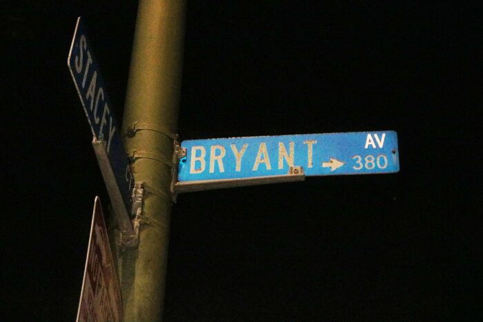A streetlamp on Bryant Avenue during the night