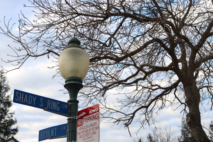 A streetlamp on Bryant Avenue during the winter